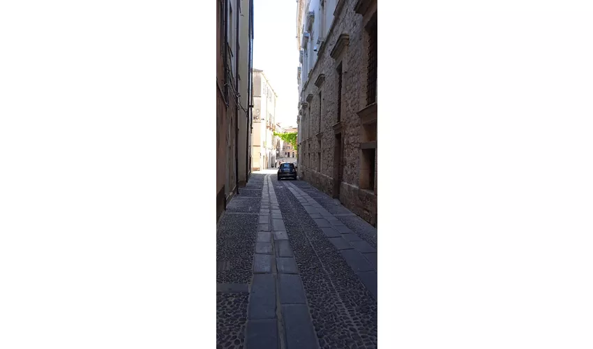 Pinacoteca Nazionale di Sassari