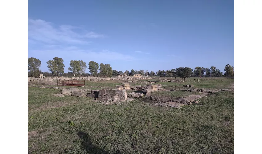 Archäologischer Park des Stadtgebiets von Metaponto
