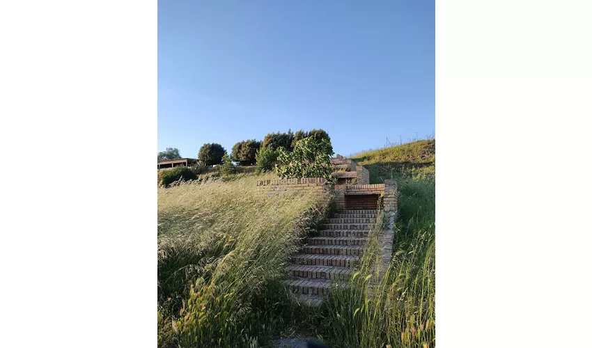 Archäologischer Park Siris - Herakleia