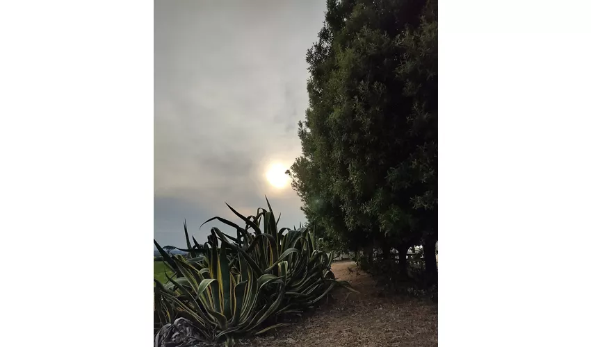 Archäologischer Park Siris - Herakleia