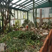 Giardino Botanico Rea