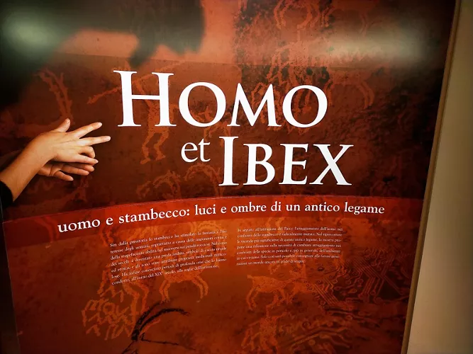Centro visitatori Parco Nazionale Gran Paradiso - Homo et Ibex