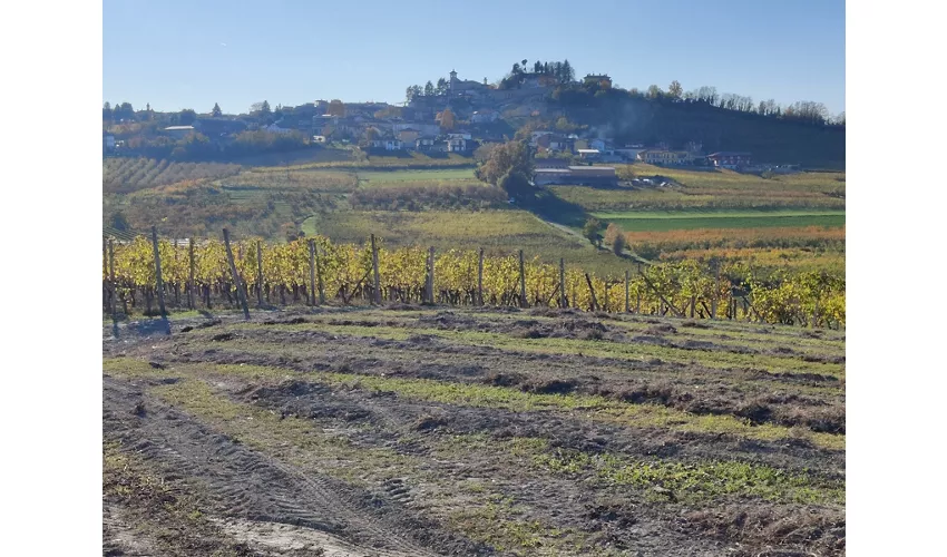 Ökomuseum der Rocche del Roero