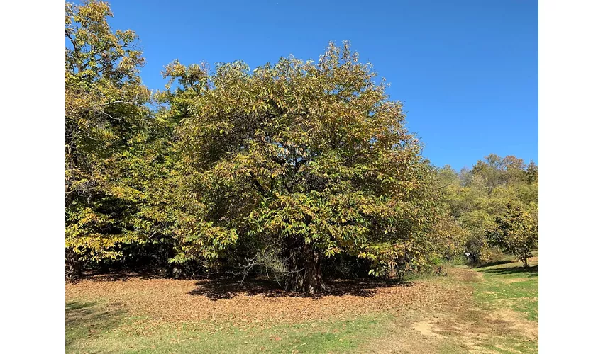 Ökomuseum der Rocche del Roero