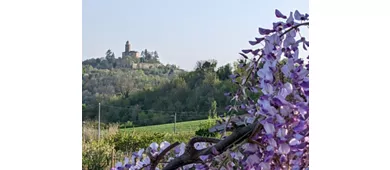Montecastello