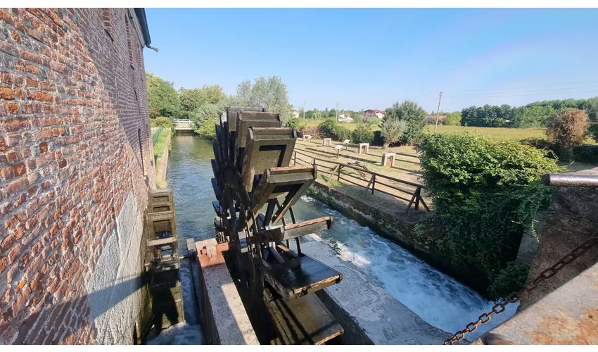 Écomusée de la Roggia Mora (Moulin de Mora Bassa)