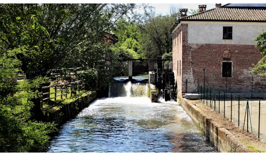 Ecomuseu da Roggia Mora (Moinho de Mora Bassa)