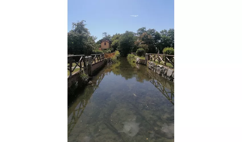 Ecomuseu da Roggia Mora (Moinho de Mora Bassa)