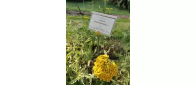 Orto Botanico “G. Emilio Ghirardi”