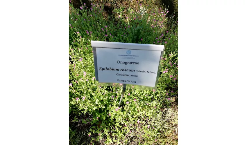 Orto Botanico “G. Emilio Ghirardi”