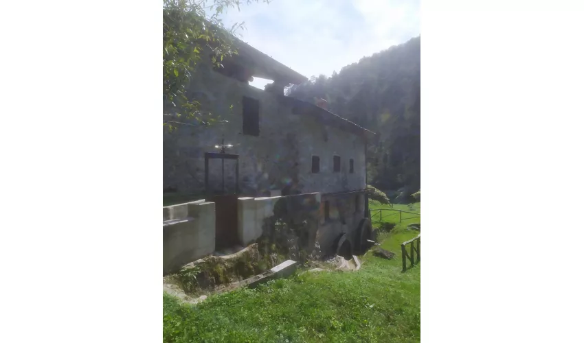 Antichi mestieri: il mulino ad acqua