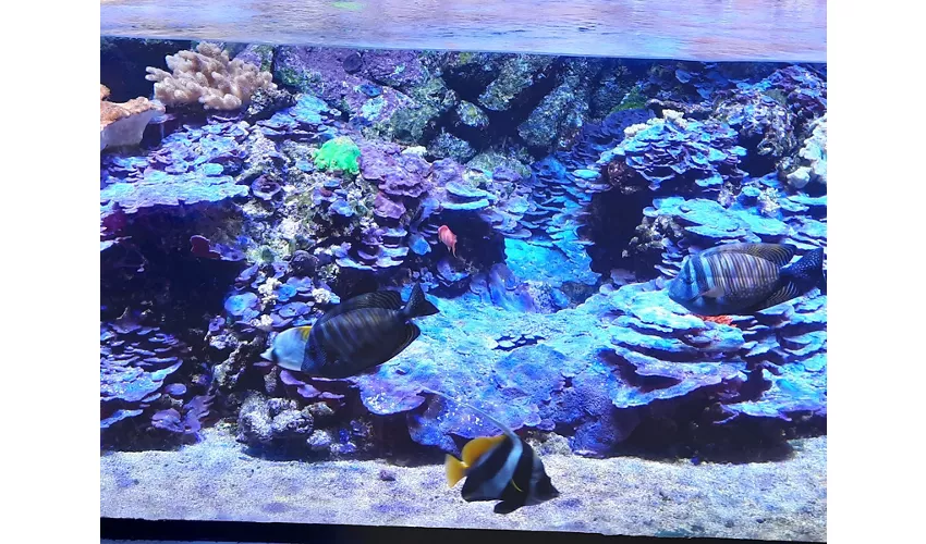 Acquario Civico e Stazione Idrobiologica di Milano