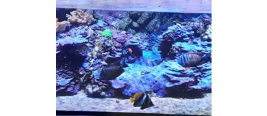 Acquario Civico e Stazione Idrobiologica di Milano