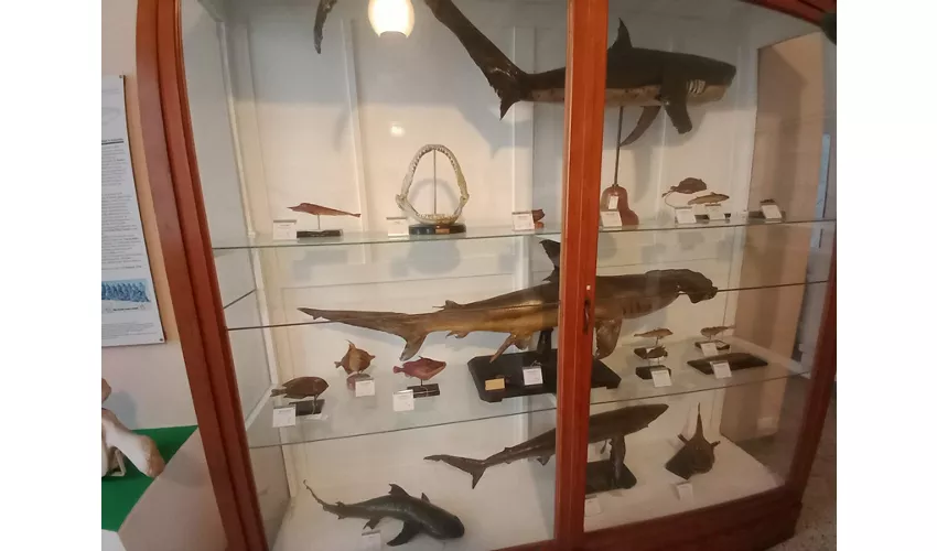 Museo Archeologico di Lecco