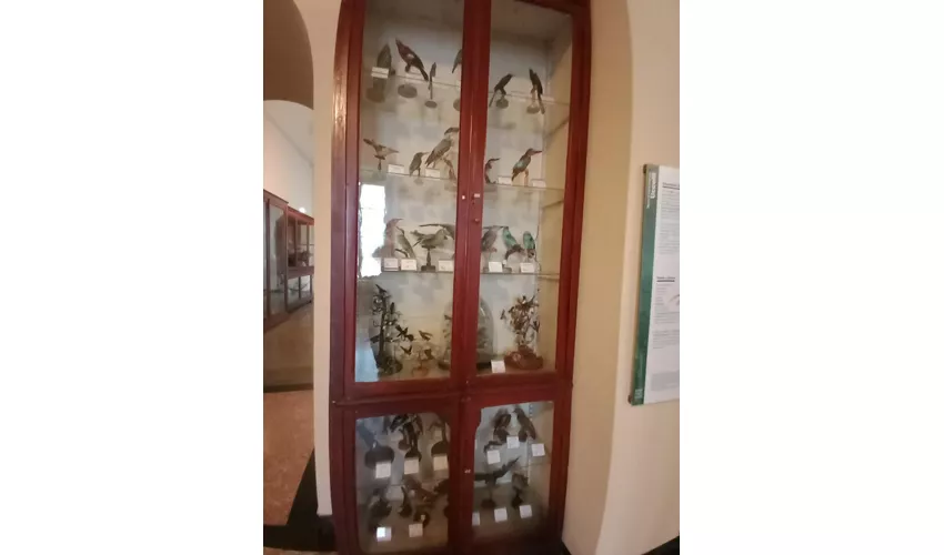 Museo Archeologico di Lecco