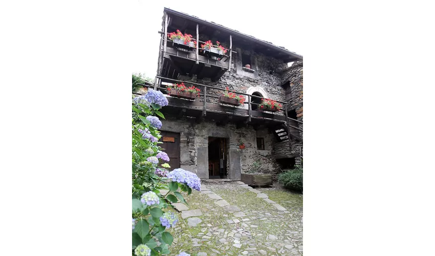 Museo dell'Homo Salvadego