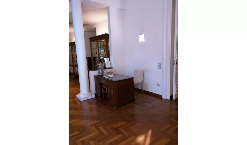 Museo del Corallo Ascione
