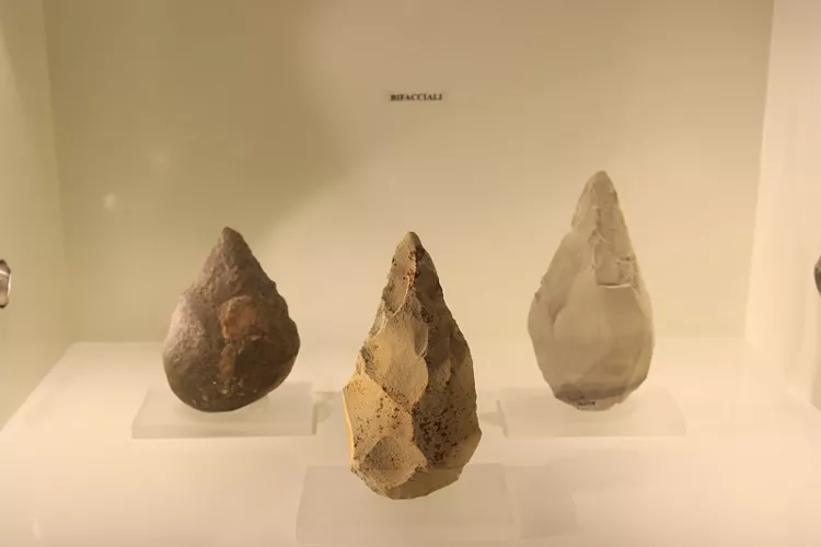 Museo Nazionale Archeologico di Altamura