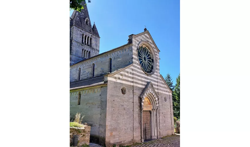 Basilica dei Fieschi
