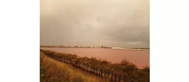 Il Museo delle Saline