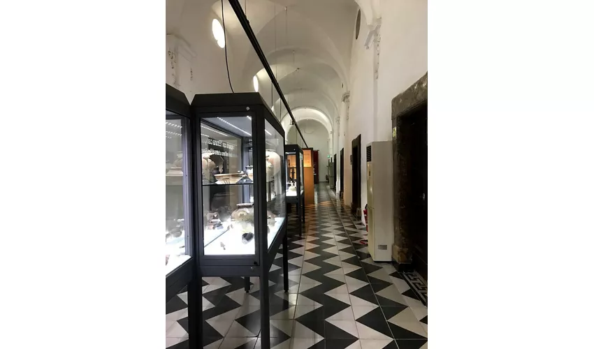 MAT - Museo dell'Alto Tavoliere