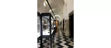 MAT - Museo dell'Alto Tavoliere