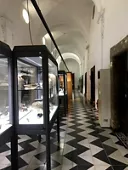 MAT - Museo dell'Alto Tavoliere