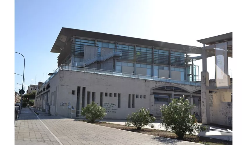 MUSA - Museo Storico-Archeologico dell'Università del Salento