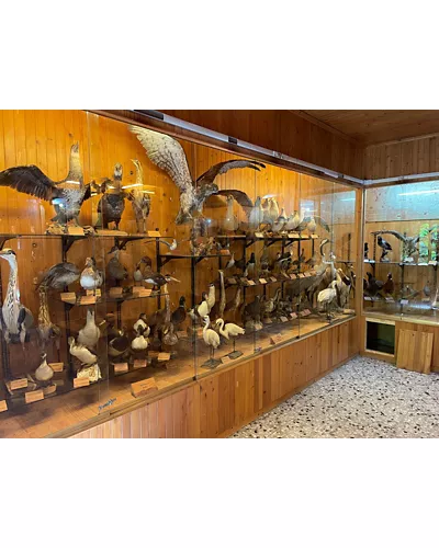 Museo Natural de la Selva Umbra