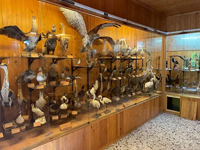 Museo Natural de la Selva Umbra