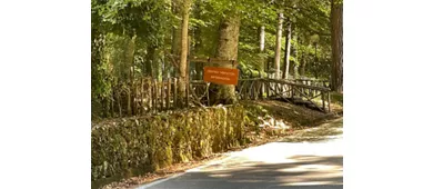 Museo Naturalistico della Foresta Umbra