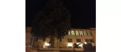 Museo Leonardo Da Vinci In Romagna