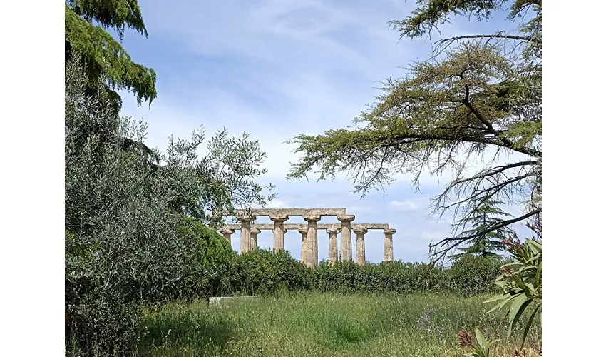 Tempio di Hera / Tavole Palatine