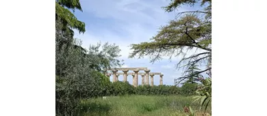 Tempio di Hera / Tavole Palatine