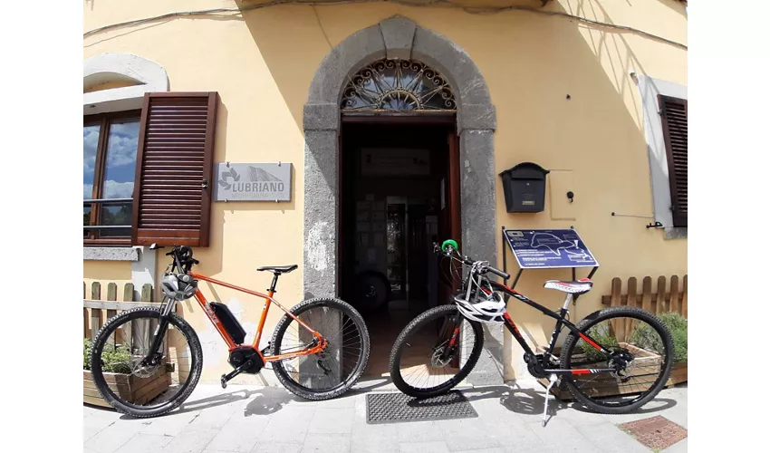 Lubriano Museo Naturalistico