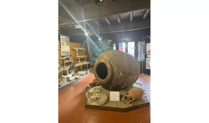 Städtisches Museum des Meeres und der antiken Schifffahrt