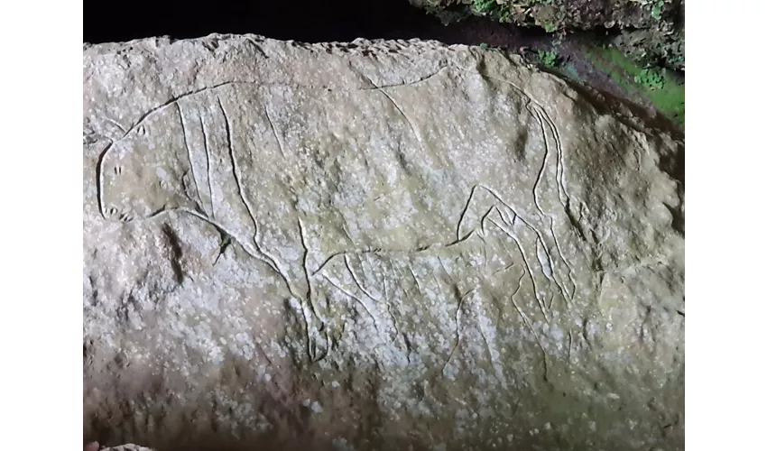 Grotte du Romito