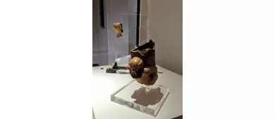 Pinacoteca e Museo delle Arti di Locri Epizephiri