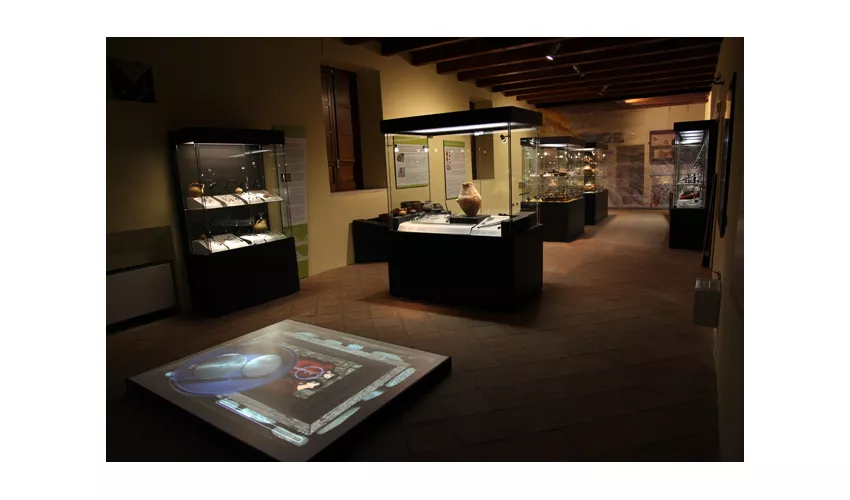 Brettii and Oenotrian Museum