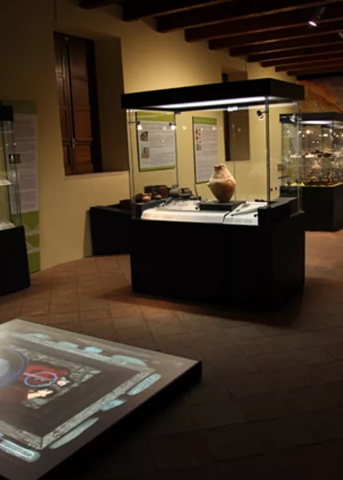 Museo dei Brettii e degli Enotri
