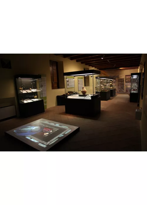 Musée des Brettii et des Enotri
