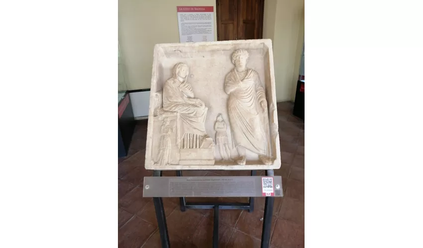 Musée des Brettii et des Enotri