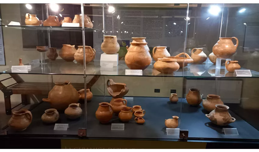 Brettii and Oenotrian Museum