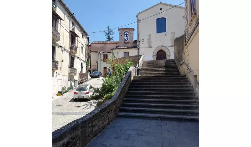 Musée des Brettii et des Enotri