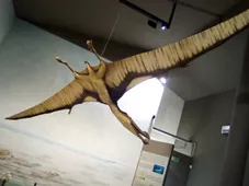 Museo Paleontologico