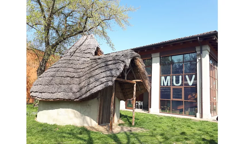 Musée de la civilisation villanovienne