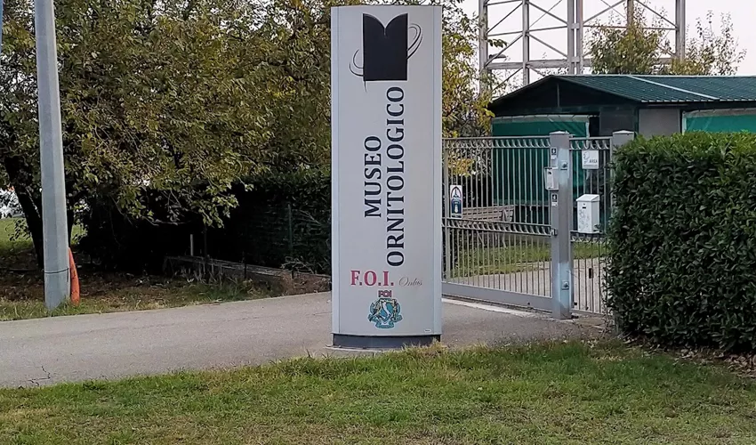 Museo Ornitologico - Piacenza