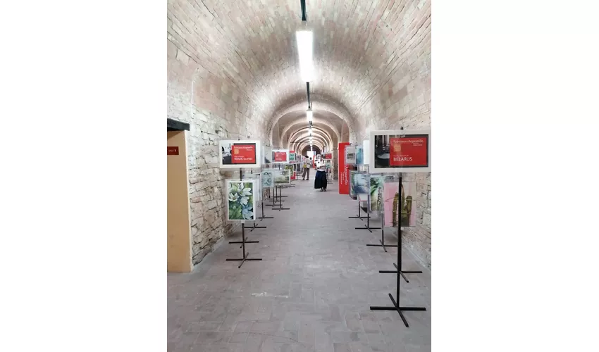 Galleria delle Arti