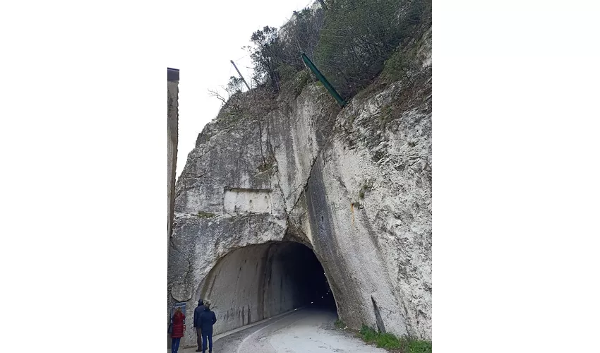 Riserva Naturale Statale Gola del Furlo