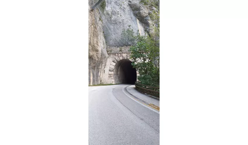 Riserva Naturale Statale Gola del Furlo